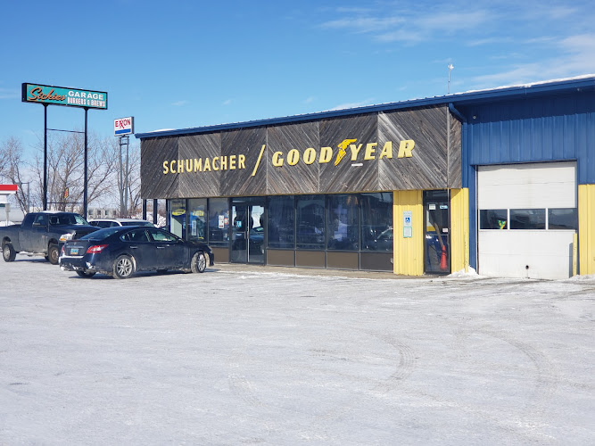 Schumacher Goodyear - Auto