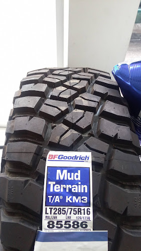 Agencia Llantera Teofilo Borunda – Michelin Car Service