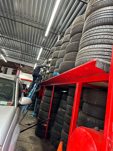 Chapulin family tire shop