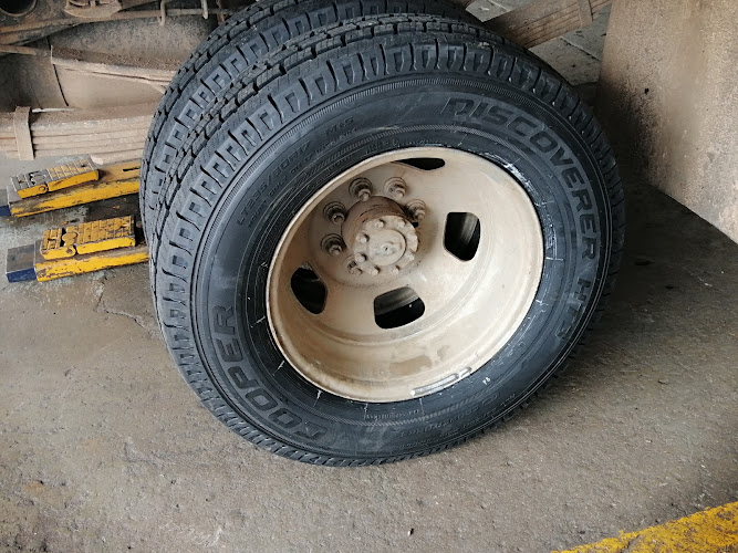 RADIAL LLANTAS Cárdenas 1