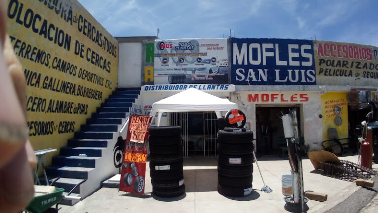 Mcs Todo llantas
