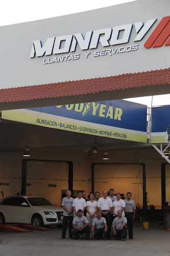 MONROY LLANTAS Y SERVICIOS GOODYEAR