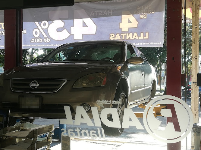 RADIAL LLANTAS Patria