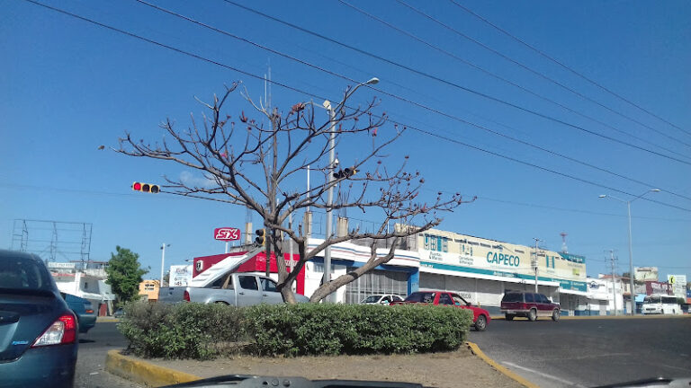 Llantas Royal de Sinaloa – Matriz