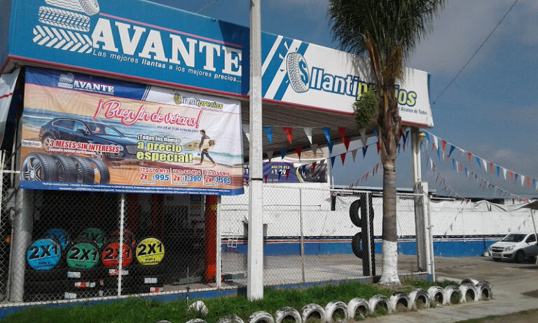 Avante Don llantas