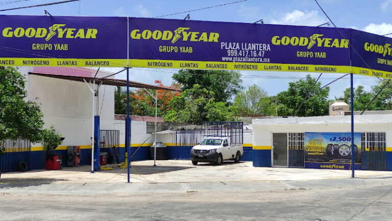 Goodyear Plaza Llantera Valladolid