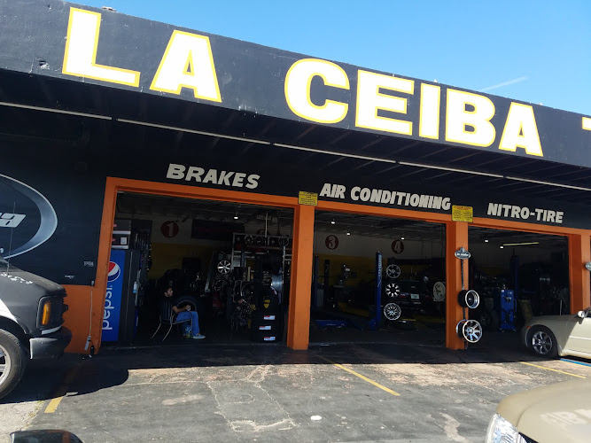 La Ceiba Tire Shop Florida