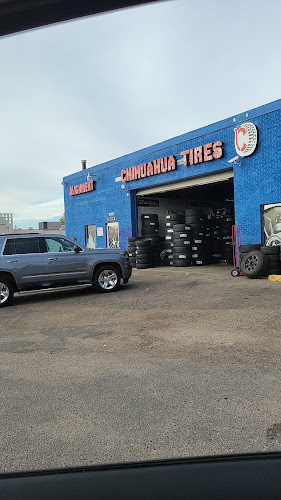 Chihuahua Tires