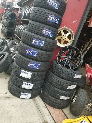 El garrovero tires