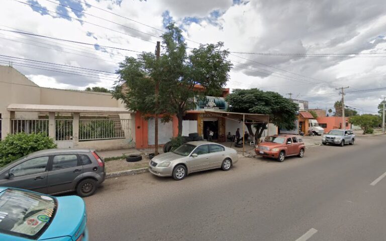 Desponchadora Guadalupe victoria